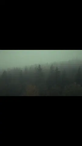 You must FORCE yourself to win.  #fyp #fypシ #foryoupage #real #inspiration 