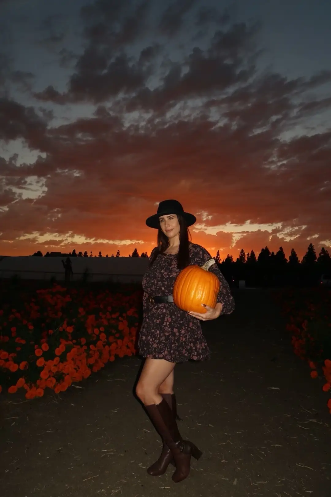 #pumpkinpatch#fallvibes#fallseason#fallphotos Thank you to my friend Vanessa for these photos 📸