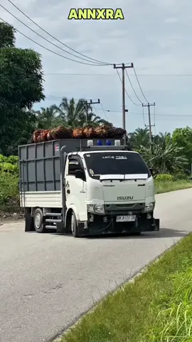 ANOMALI SAINGAN KEPALA HITAM LEGAM #traga#fyp#viral#meme#otomotif 