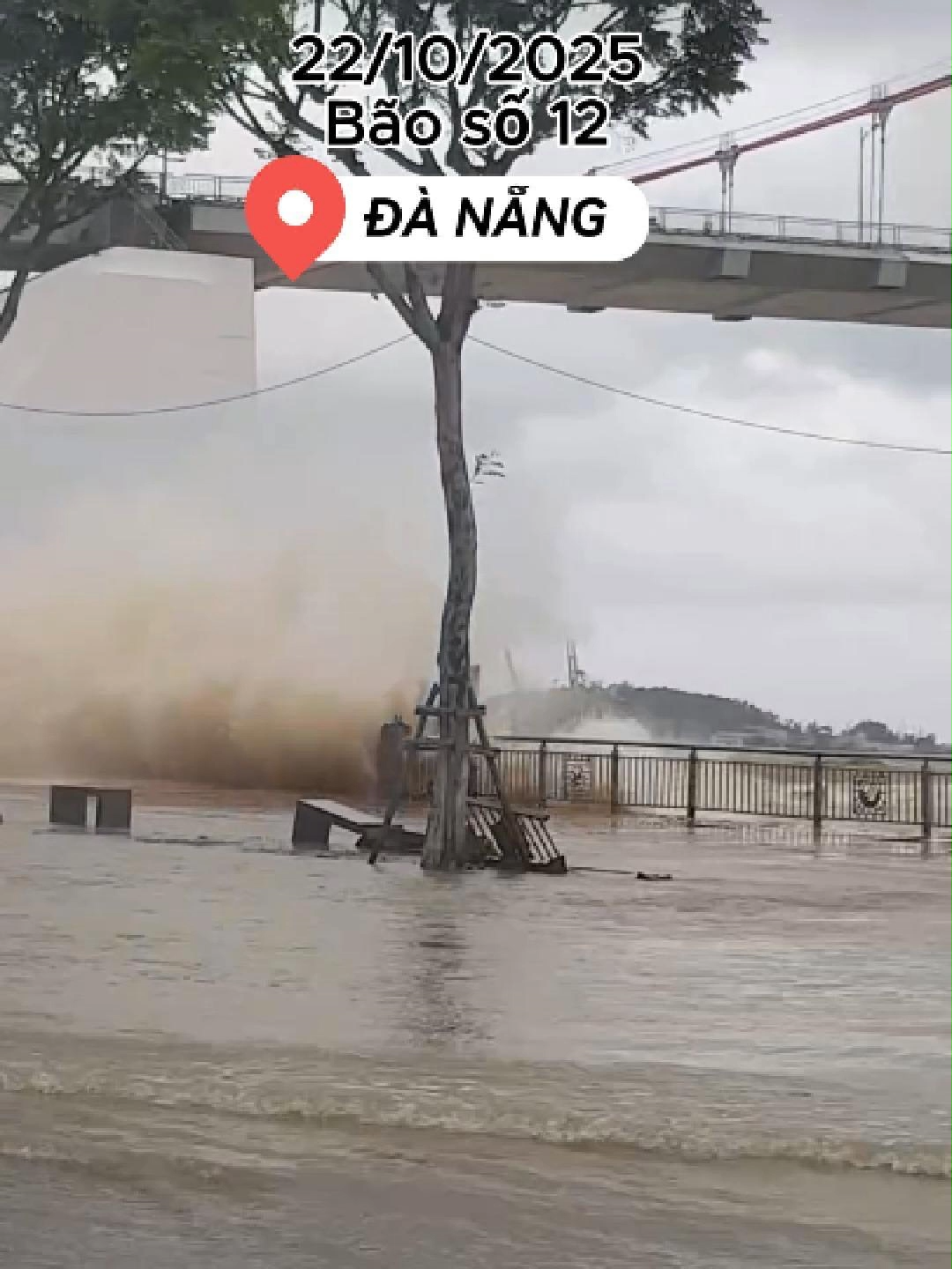 cập nhật tình hình bão hôm nay cho mọi người chú ý và cận thận  hãy di dời nơi cao nhất và phòng tránh an toàn nhé #baoso12 #danang #thoitiet #thoitietdanang #capnhatthoitiet #dihetdanang