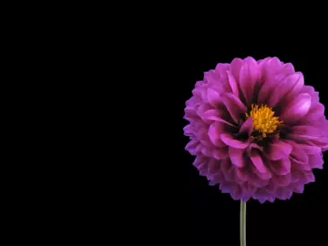 papá..... #papá #poema #sad #fyppppppppppppppppppppppp #fyp 