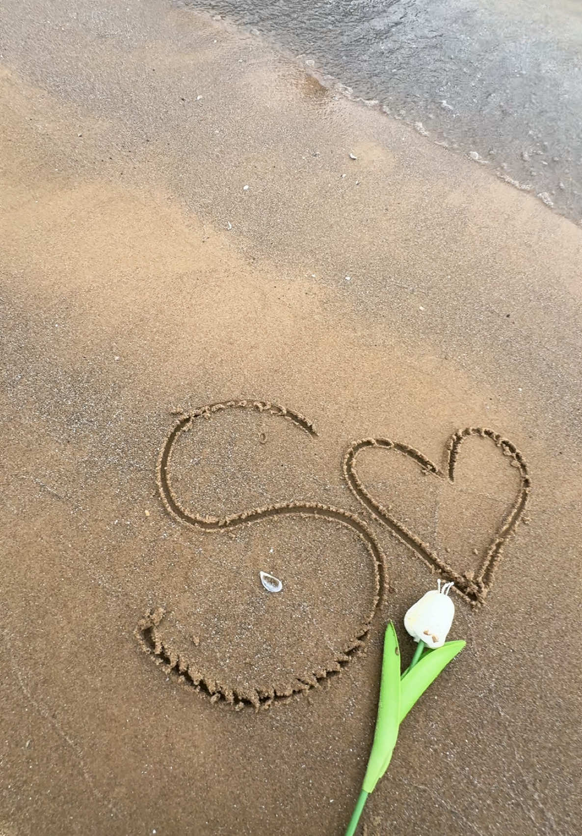 😍❤️S love #fyp #beach #s #slove #foryoupage #рекомендации #рек 