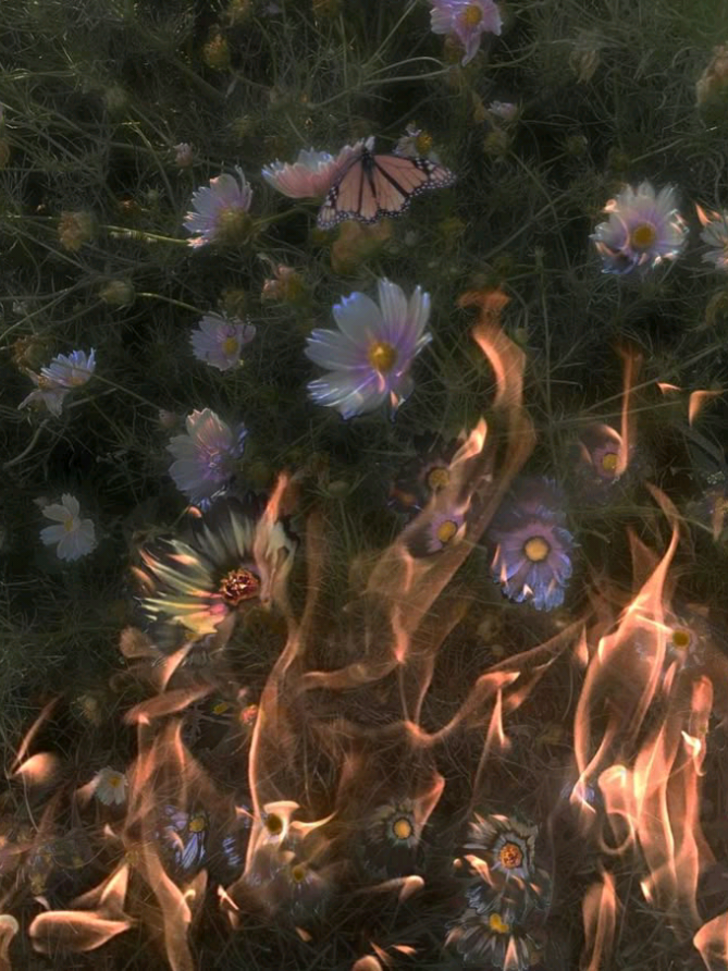 Pathar ke logo mein dil khojta hoon main >>>😌 ‎ ‎ ‎ ‎ ‎ ‎ #koiapnahoga #fyp #fypシ゚viral #lyricsvideo #goviral 