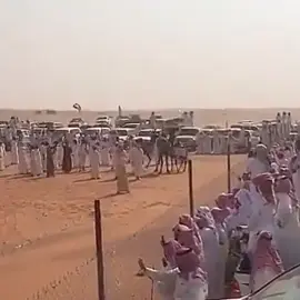 ارشيف مزايين الهواشلة #الهواشله #الفرجان #التوضحيه #وادي_الدواسر #الدواسر 