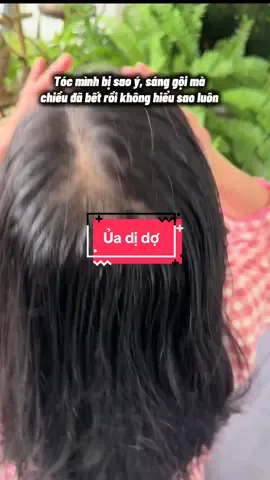 Khó chịu mỗi khi tóc cứ bết vậy thôi#tocrungnhieu #xuhuong #tocbetdau #tocbet 