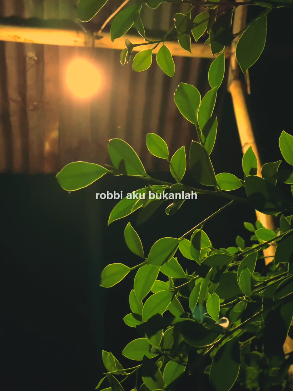 Robbi aku bukanlah ahli surga namun ku tak sanggup dalam neraka 🥹 #robbiakubukanlahahlisyurga #sholawatan #soundsholawat #sholawattrending #irsyadsyad 