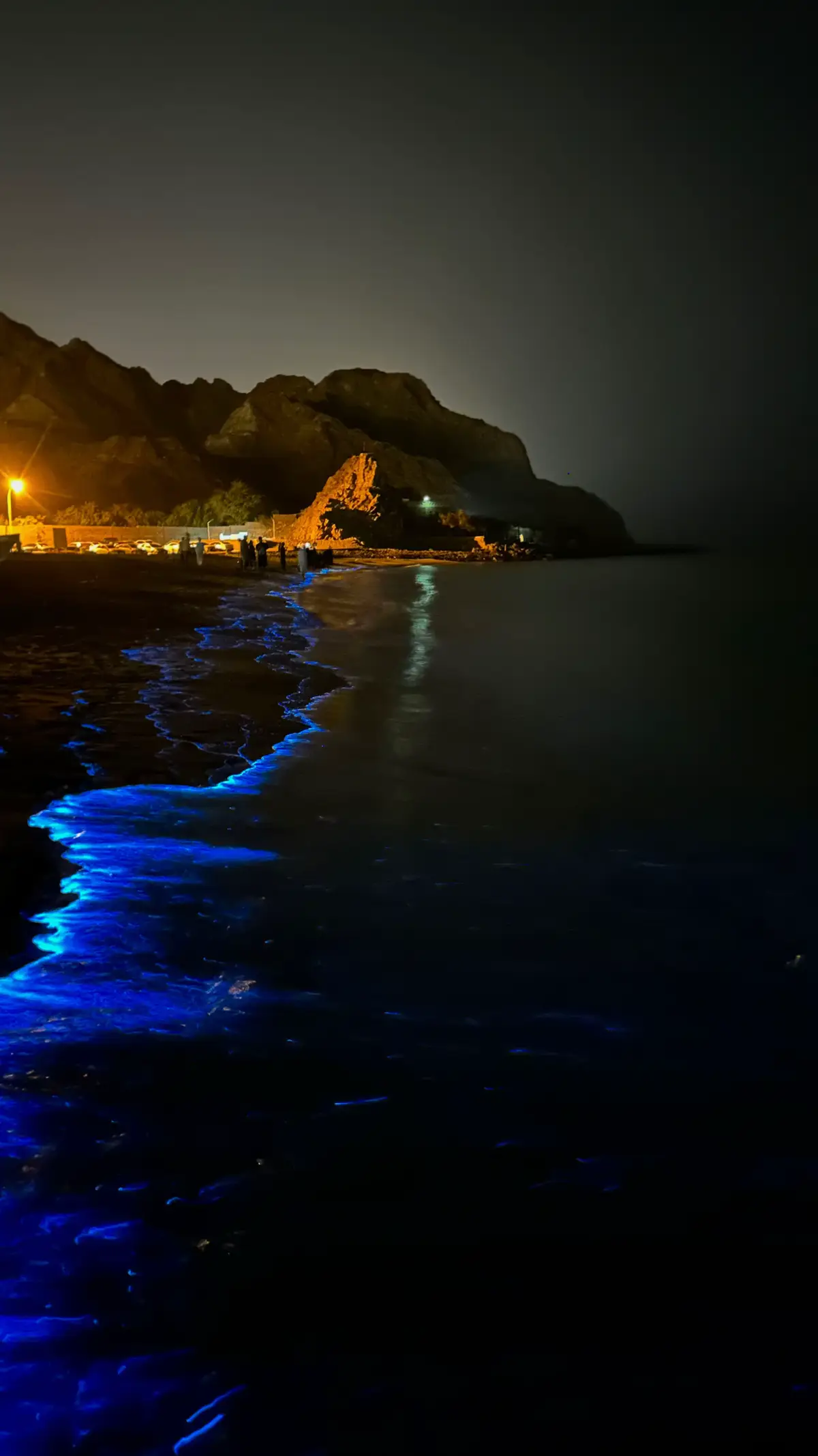 #bioluminescence #4upage #foryou #oman 