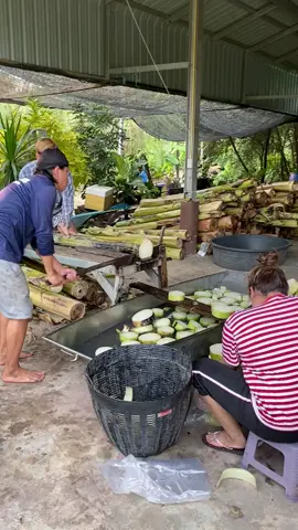 จะถึงแล้วเทศกาลลอยกระทง#แว่นกล้วย#ลอยกระทง