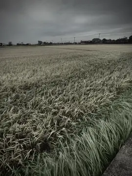 不要爱世界上最美丽的人，而要爱那些让你的世界变得美丽的人