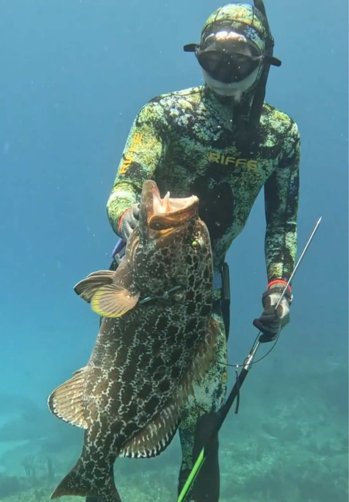 How We Spearfish Bahamas Grouper #fishing #spearfishing 