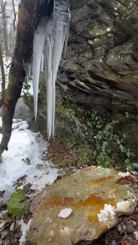 𝑼𝒔𝒕𝒐𝒛 𝑭𝒐𝒛𝒊𝒍𝒋𝒐𝒏 𝑸𝒐𝒓𝒊 𝑫𝒐𝒎𝒍𝒂  𝒀𝒐𝒔𝒊𝒏 𝑿𝒐𝒋𝒊 𝑶'𝒈'𝒍𝒊 𝑺𝒐𝒃𝒊𝒓𝒐𝒗  𝑷𝒐𝒅𝒔𝒉𝒐𝒉 𝒗𝒂 𝑩𝒐𝒍𝒂 𝑯𝒊𝒌𝒐𝒚𝒂𝒔𝒊... 𝑫𝒐'𝒔𝒕𝒍𝒂𝒓𝒊𝒏𝒈𝒊𝒛𝒈𝒂𝒉𝒂𝒎 𝑼𝒍𝒂𝒔𝒉𝒊𝒃 𝑸𝒐'𝒚𝒊𝒏𝒈 ! @qalbshifosi_1   #qalbshifosi_1 #foziljonqoridomla #foziljonqori_sherlari #qobiljon_qoridomla #qalblarshifosi 