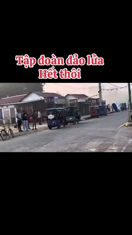 #gao39682 #giaitri #thichminhtue #xuhuong #phatphap 