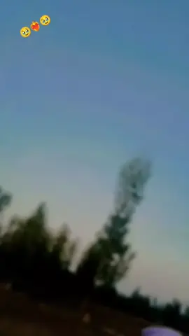 ☠️☠️☠️☠️☠️☠️☠️☠️☠️☠️☠️☠️☠️☠️☠️☠️☠️☠️☠️☠️☠️☠️☠️☠️☠️☠️☠️☠️☠️☠️☠️☠️☠️☠️☠️☠️