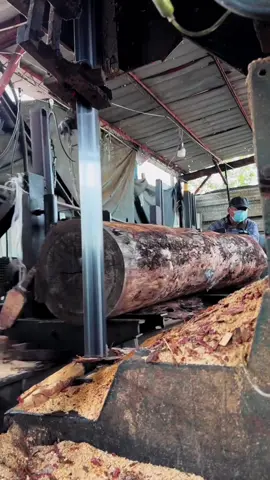 #woodprocessing #woodworking #wood 