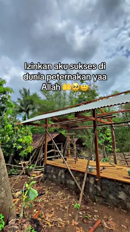 #CapCut aamiin ya Allah 🤲😇#peternakmuda #peternak #tukangngarit #bosmuda 