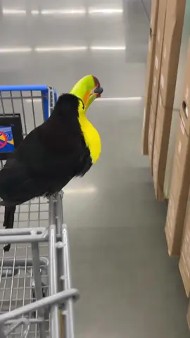 #walmart