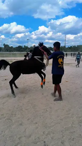 LABUBUnamanya🚀 #Foryourpage #kudapacu_sumbatimur 