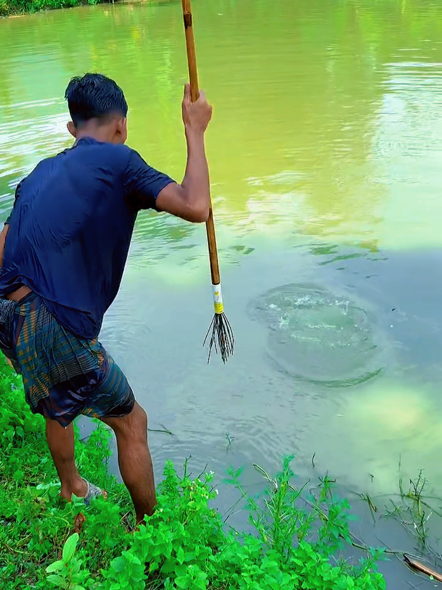 mencari ikan di rawa dengan bambu #ikan #rawa #mancing #hiburantiktok #foryou 
