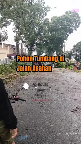 Pohon tumbang di Jl.Asahan Km.4 Sempat menutupi Jalan utama, membuat akses jalan tertutup total dan menimbulkan kemacetan. Pihak terkait langsung turun ke jalan dan langsung mengatasi pohon tumbang tersebut. Beruntung tidak ada korban saat melintasi jalan tersebut. Untuk saat ini akses Jalan sudah bisa dilintasi kembali.