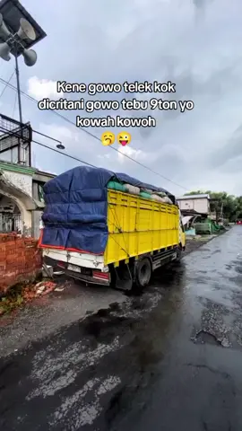 gak wani gowo tebu#fyp #drivermuda #ragasamania #pupukorganik 