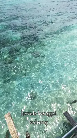 #luwukbanggai #luwukbanggaisulteng #luwukpride🏝🔥 #luwuk_sulteng #luwuk 