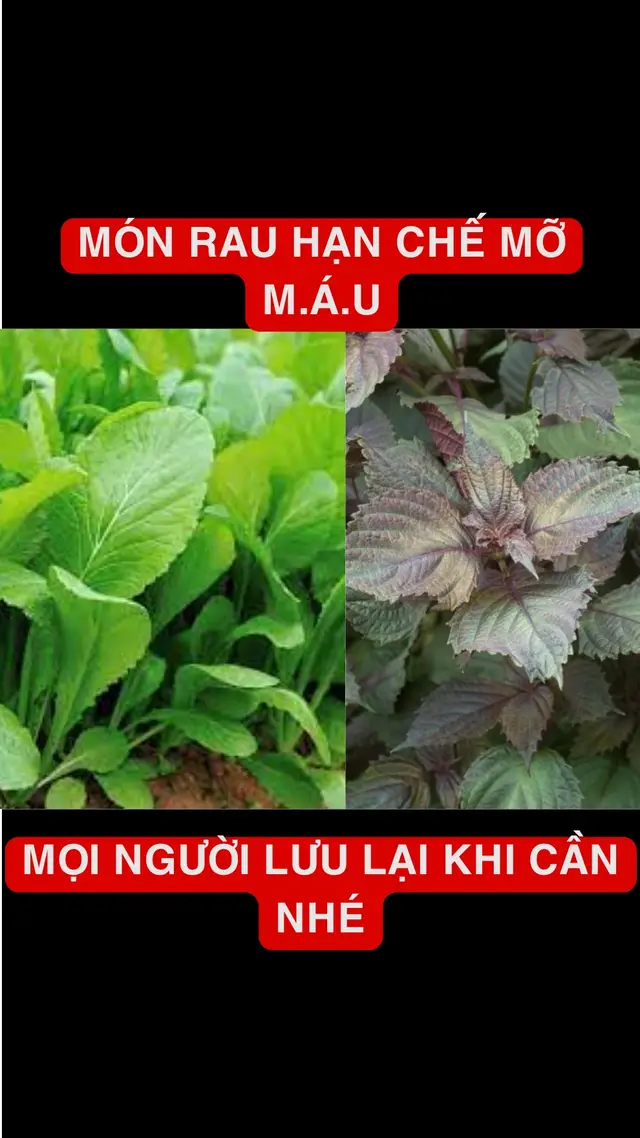 Món canh cải bẹ xanh #cafenhansam #samtruongbach #andungsongkhoe #caibexanh 