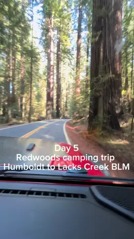 More of our time in NorCal :)  #redwoods #roadtrip #camping 