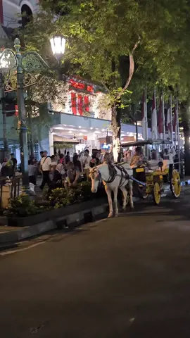 Malioboro Bebas Kendaraan Bermotor pk 17.00-22.00 #malioboro #yogyakarta #carfreenight #jogjaistimewa #traveljogja 