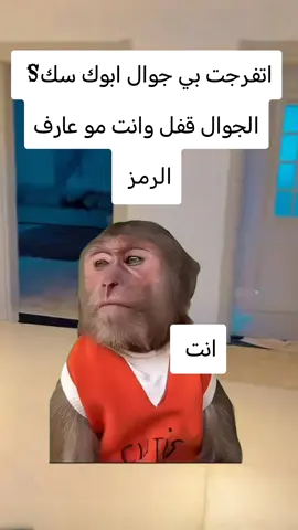 #Meme #MemeCut #CapCut 