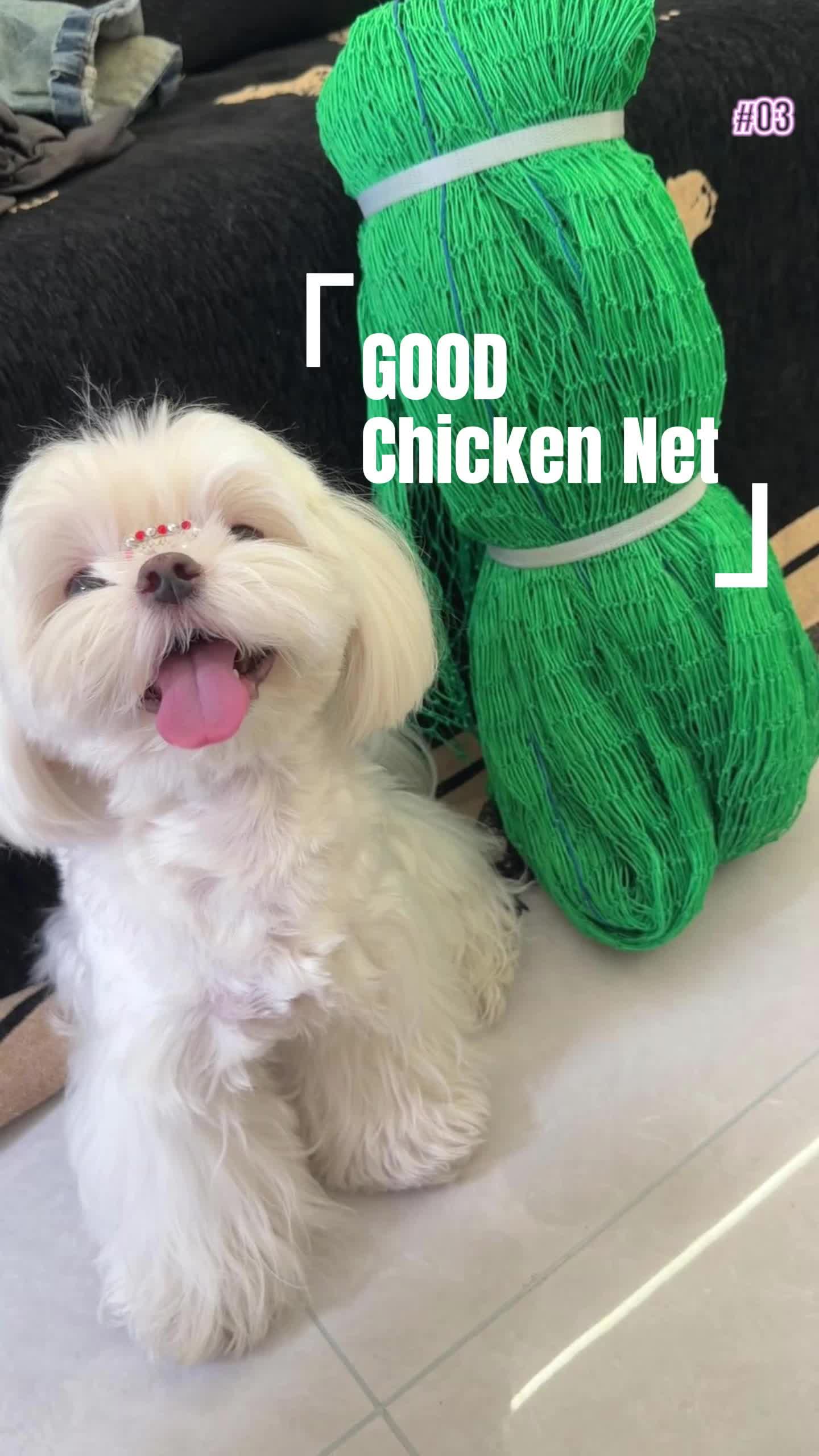 *FREE ROPE* Chicken Net50M/100M Multi-Use- Durable Nylon Lambat for Garden Fencing, Fishing, Poultry Farming (UV Protected) chicken  wire  plastic trellis 20  meters  chicken  net 