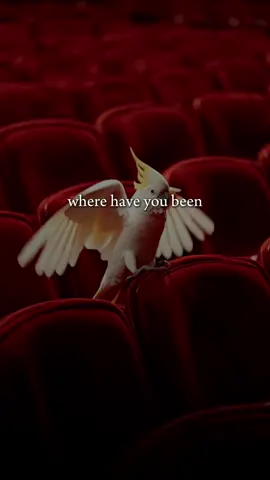 Check on those missing!!!