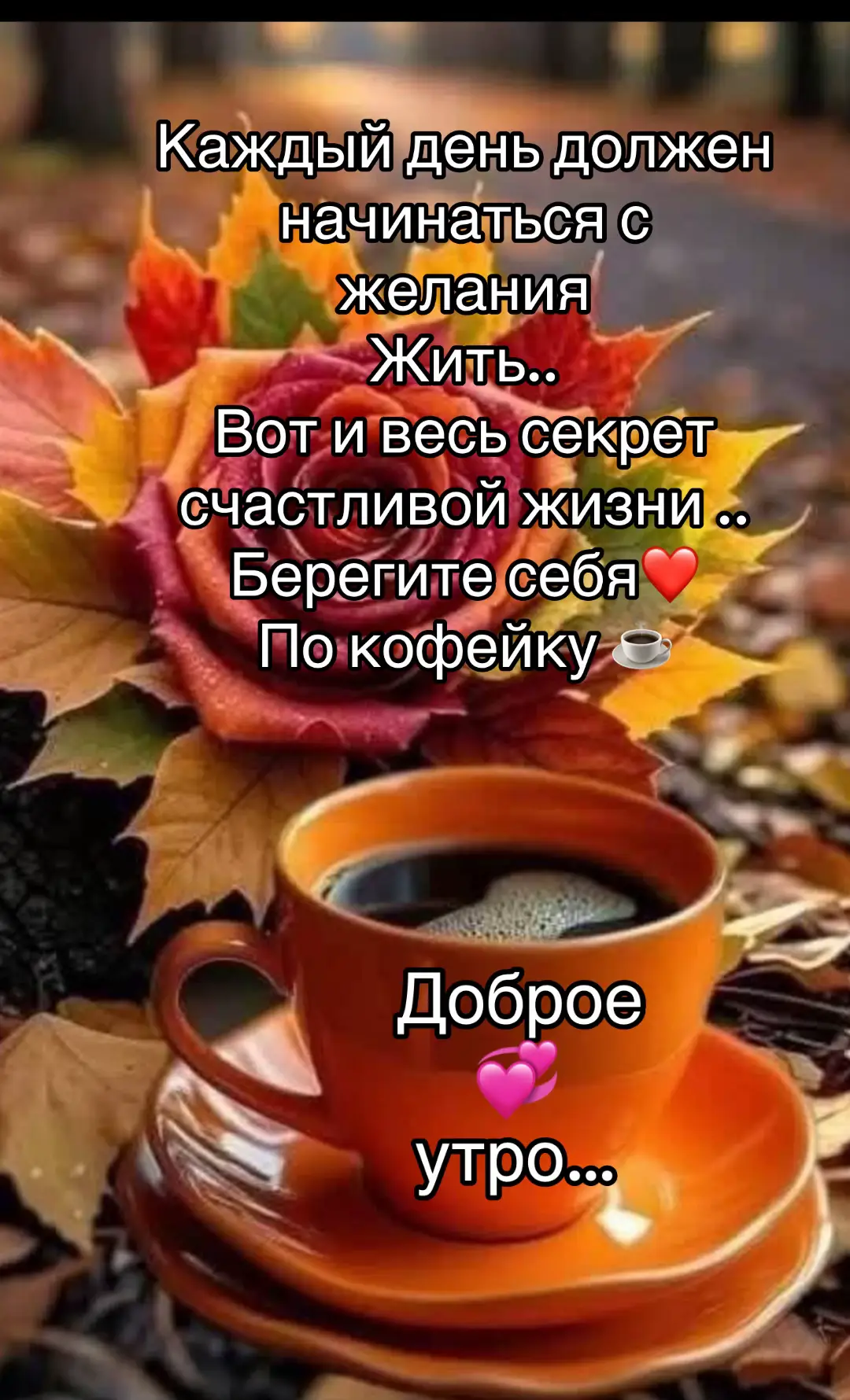 #petras🙏 #2025 #доброеутро #любвивсем💖💗💖 #прекрасногодня🌸🌺🌼 