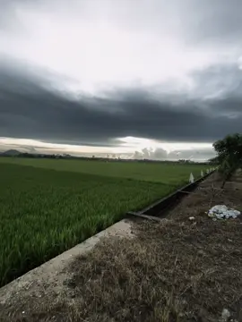 mùa đông năm nay vắng em ở đây..#xuhuong #tiktokbuon #buon #fyp #xh 