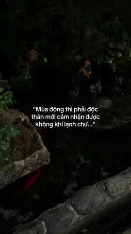 …#tamtrang #story 