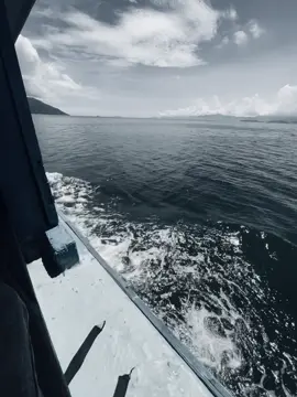 #xh anh đa khong the nao tim cach #xhhhhhhh 