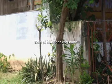 HAHAHAHAHAHAHAHAHA #bisaya #snc 