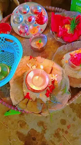 आज गाई पुजा, ##fypシ゚viral🖤tiktok☆♡🦋 #goviral #foryoupage #fyp #tiktoknepal, झापा, चन्द्रगढि @kalpana @Krishna 