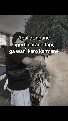 Giri Lusi jalmo Tan keno kiniro😁 #boloreog #harimautenggara👺 #ponorogo24jam #trand #fyp 
