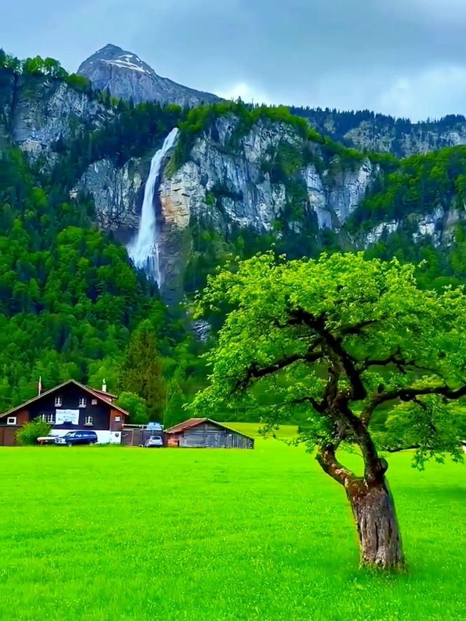 Switzerland beauty 💓💕✨  @landscape..1 @landscape..1  #landscape #beautiful #switzerland #1millionviews #1millionaudition  @💠Nature 🌷  @🌷Nature ❄️ 