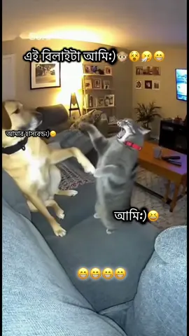 আহারে বেচারা জামাই🤣🤣🤣🤣#মেনশন_করুন_আপনার_প্রিয়_মানুষকে❣️ #foryou #catlovers #viral @TikTok #কপি_লিংক_করো_প্লিজ_প্লিজ @TikTok Bangladesh 