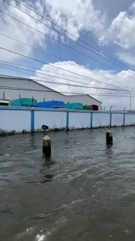 Kondisi terkini Jalan Raya Kaligawe-Sayung, Demak, Rabu pagi, 22 Oktober 2025, usai hujan merata pada Selasa malam.  #rob #banjir #sayung #demak #jawatengah