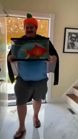 Dog catch a fish #viral #fyi #halloween2025 #memes #dog 