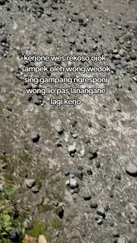 @09⚡️ oke baek#truk #canter  #purworejo #katakata #fyp 