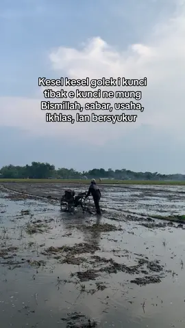 Ora kabeh kudu sakiki, tapi kabeh kudu diusahakne mulai sakiki🌾🌾🌾 #petani #peranimilenial #petaniindonesia🇮🇩🇮🇩🇮🇩🌿🌿 #traktor #fyp 