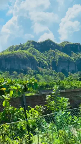 টেকনাফ হলিউড পাহাড়..?! 🔱⛰️🏔️ #teknaf 