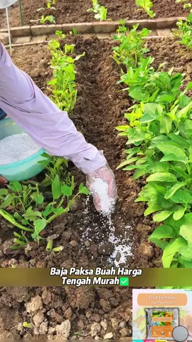 rezeki dapat baja paksa buah harga murah, boleh order banyak terus buat stok😊 #baja #fertilizer #tanaman #bajapaksabuah #bajapokok #petani #bismillah#fyp #useful 