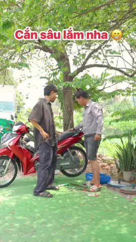 #cắn sâu lắm nha #