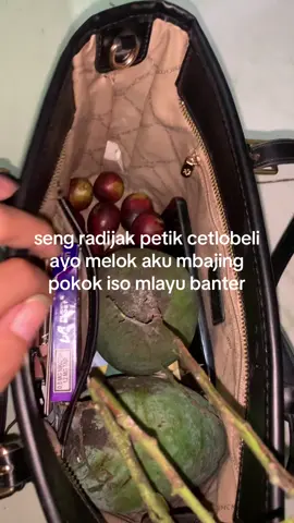 p,mbajing