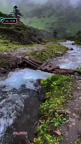 ماذا يحدث في الحرب #jafar #قتباسات_عبارات_خواطر #لايك_متابعه_اكسبلور #viralvideo #fypシ゚ 