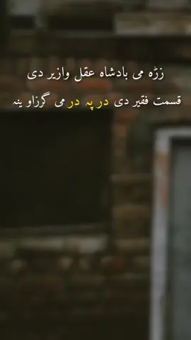 part 91 poshto #شاعرى #💔🥀😢  #fyppppppppppppppppppppp #foryoupagevideoviraltiktok #